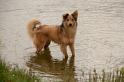 zwemles in Petten  _10-07-12_005
